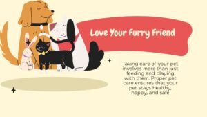 How to Calm a Restless Dog at Night: 7 Proven Steps for Better Sleep