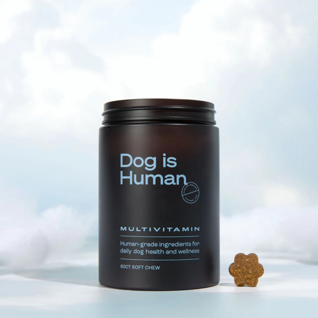 Love your furry friend