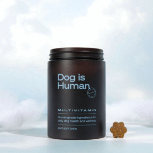 Dog is Human Multivitamin: One-Month Update & Why I Can’t Tell What’s Working (And Why That’s Actually a Good Thing)